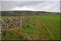 SK1272 : Footpath between Blackwell Hall Farm and Chee Dale, Derbyshire by Andrew Tryon