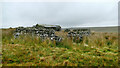 NY9116 : Residential sheepfold on Galloway Rigg by Andy Waddington