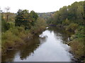 SO7483 : River Severn at the Severn Valley Country Park by Mat Fascione