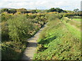 SZ5284 : Red Squirrel Trail near Merstone by Malc McDonald