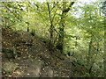 SK1985 : Public footpath junction, Parkin Clough by Christine Johnstone