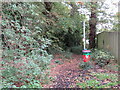 SZ5192 : Public footpath near Whippingham by Malc McDonald