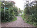 SZ5093 : Shared path near Cowes by Malc McDonald