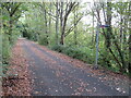 SZ5093 : Red Squirrel Trail near Cowes by Malc McDonald