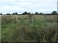 SJ9924 : Fenced drains, Pasturefields saltmarsh by Christine Johnstone