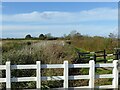 SK7229 : Grantham Canal near Hose by Alan Murray-Rust