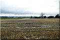 NZ1709 : Waterlogged stubble by Andy Waddington