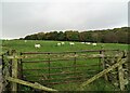 NZ1048 : Field gateway next to High House Wood by Robert Graham