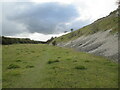 SE9143 : Exposed  chalk  in  disused  Kiplingcotes  Chalk  Pit by Martin Dawes