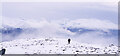 NN3488 : Approaching the summit of Carn Dearg by Trevor Littlewood