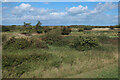 TF6534 : Snettisham Coastal Park by Hugh Venables