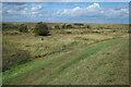 TF6534 : Snettisham Coastal Park by Hugh Venables