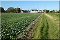  : Farmland, Benson by Andrew Smith