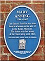 SY3492 : Lyme Regis - Mary Anning by Colin Smith