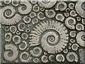 SY3492 : Lyme Regis - Coade Stone Ammonites by Colin Smith