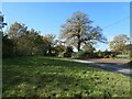 SJ9735 : Wide grass verge, Stone Heath by Christine Johnstone