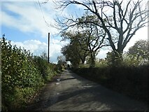  : The road to Stone Heath, heading south-east by Christine Johnstone