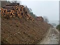 NT2641 : Timber stacks, Soonhope by Jim Barton