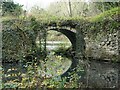 SK3623 : Bridge between two flooded quarries, Ticknall limeyards by Christine Johnstone