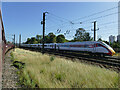 SE5850 : Azuma passing Holgate sidings by Stephen Craven