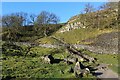 SD8963 : Pennine Way below Malham Cove by Chris Heaton