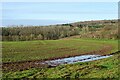 SO7334 : Farmland above Clencher's Mill by Philip Halling