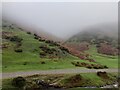 SO4494 : Carding Mill Valley at Church Stretton by Mat Fascione