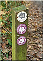 SX7979 : Waymarks near Wilford Bridge by Derek Harper