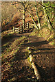 SX7290 : Path junction near Castle Drogo by Derek Harper