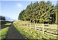 NZ0545 : Coniferous plantation at Waskerley by Trevor Littlewood