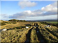 NS9871 : Track on Cairnpapple Hill by Alan O'Dowd