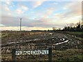 TF3805 : Waterlogged farmland off Plash Drove between Murrow and Guyhirn by Richard Humphrey