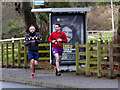 H4672 : Boxing Day joggers, Omagh by Kenneth  Allen