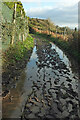 SX7736 : Bridleway near East Prawle by Derek Harper