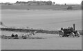 ST7781 : Vintage Ploughing Match, nr Badminton, Gloucestershire 2016 by Ray Bird