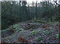 NS4177 : Remains of a lime-kiln by Lairich Rig