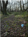 J4576 : Discarded face mask, Cairn Wood by Rossographer