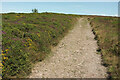 ST1340 : Bridleway to Longstone Hill by Derek Harper