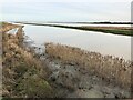 TL2799 : The River Nene and Whittlesey Wash - The Nene Washes by Richard Humphrey