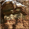 SK6039 : Mudstone deposits, Colwick Woods Park by Alan Murray-Rust