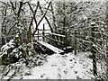 SJ7949 : Snowy path and footbridge by Jonathan Hutchins