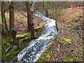 NT3337 : Mill lade overflow near Kirklands, Innerleithen by Jim Barton