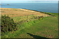 SX8748 : Coast path above Warren Point by Derek Harper