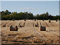 NH8149 : Harvested fields, Kilravock by Craig Wallace