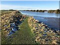 TF3902 : Frozen footpath - The Nene Washes by Richard Humphrey