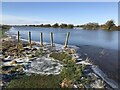 TF3902 : Posts on the waters edge - The Nene Washes by Richard Humphrey