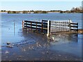 TF3801 : The bridge to nowhere - The Nene Washes by Richard Humphrey