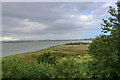 NO7056 : Varied vegetation near the Montrose Basin Visitor Centre by Andrew Diack