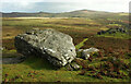 SX7378 : Boulder near Chinkwell Tor by Derek Harper