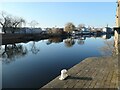 SE3319 : The navigable River Calder, Wakefield by Christine Johnstone